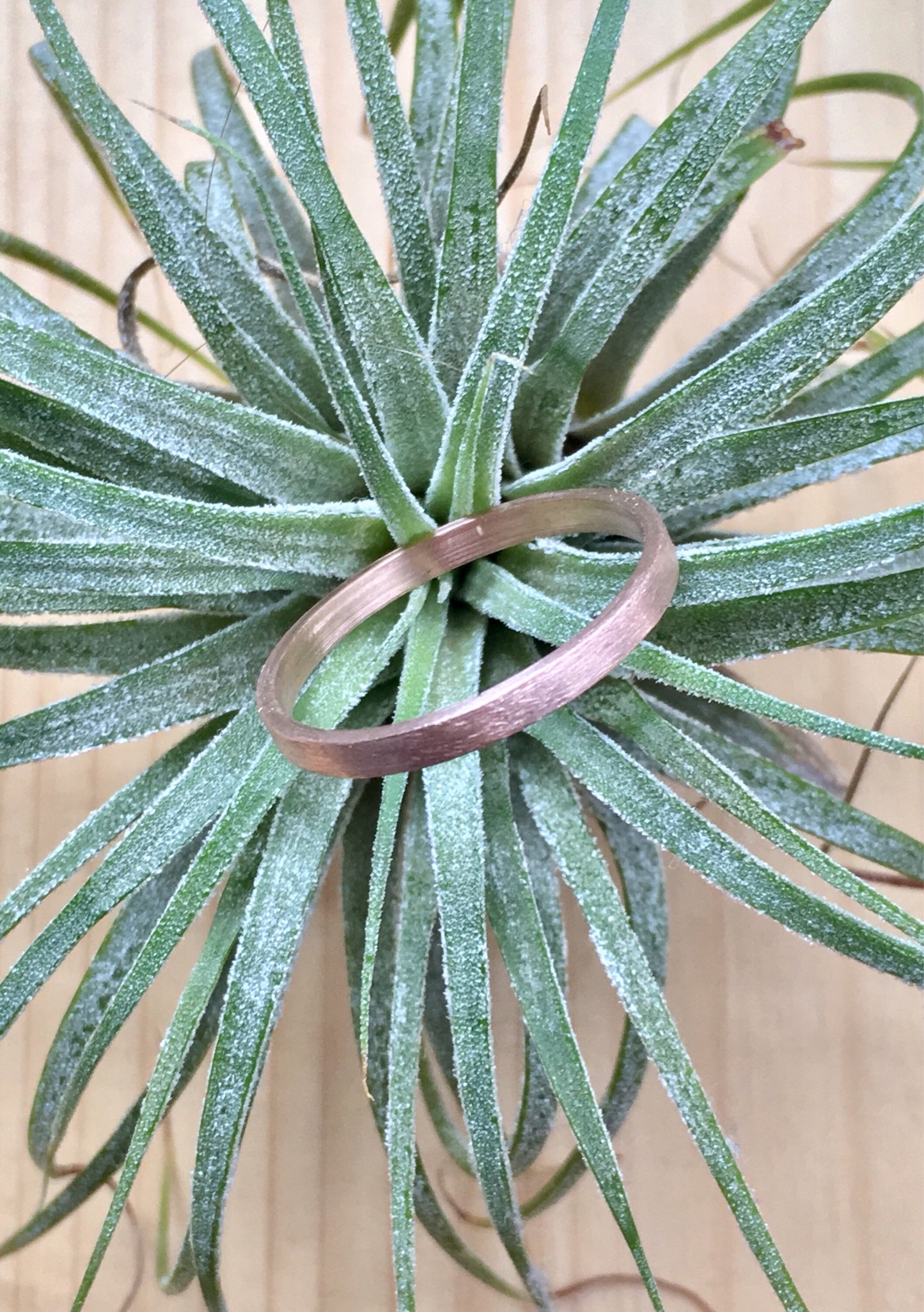 Square wedding band