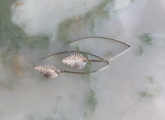 Silver elm leaf earrings
