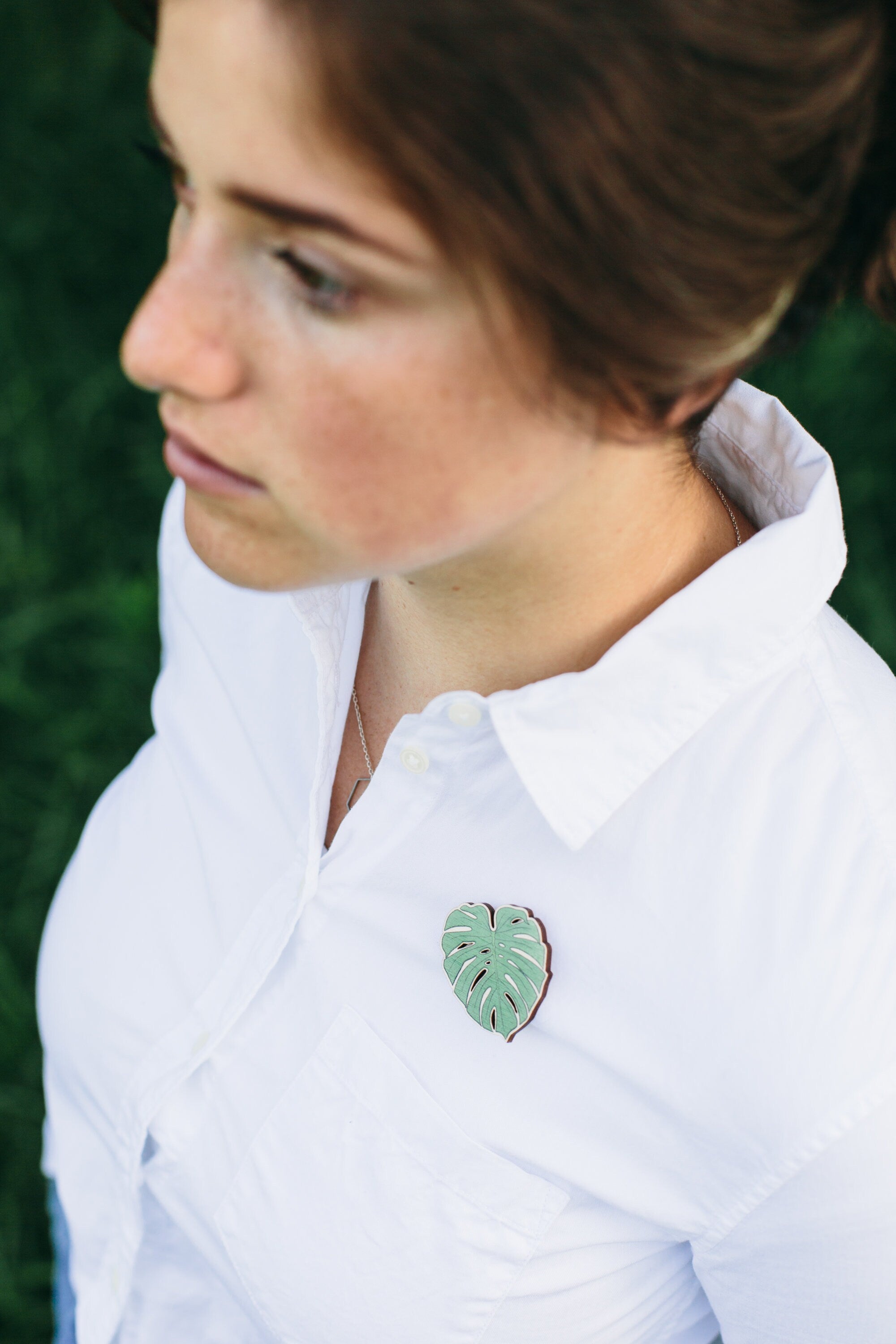 Wooden Plant Pins, Willow, Eucalyptus, Ginkgo or Monstera