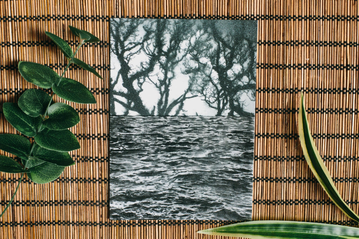 Sea Forest art print, the absurdist series